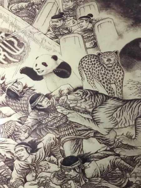 国宝大熊猫是什么类别的动物