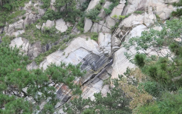 山东平邑县属于哪个市管辖