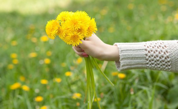 如何每天保持好心态