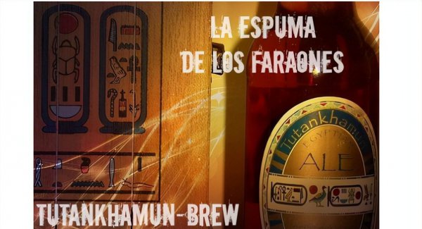 世界最贵的啤酒多少钱一瓶