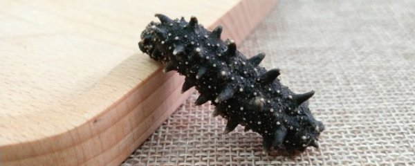 孕妇吃海参怎么做最好