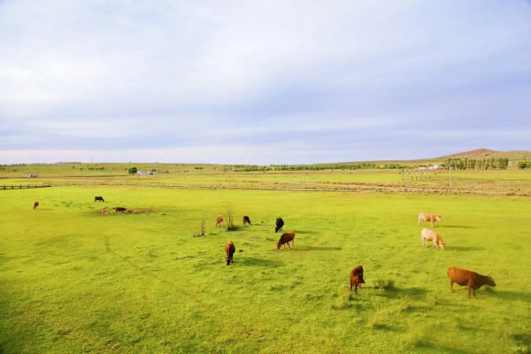 内蒙古旅游几月份为最佳时间