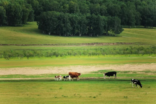 内蒙古旅游几月份为最佳时间