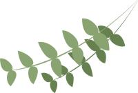 内蒙古旅游几月份为最佳时间