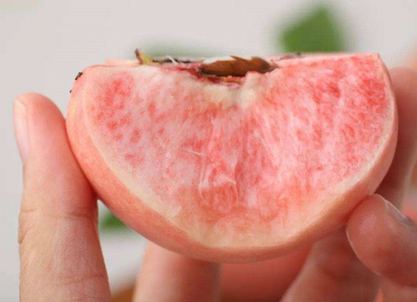 哪里的水蜜桃最好吃最出名