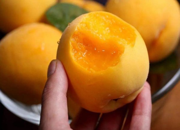 哪里的水蜜桃最好吃最出名