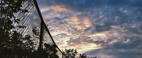 现在还有三本大学吗