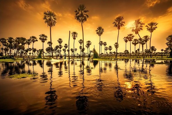 冥冥之中自有定数是什么意思