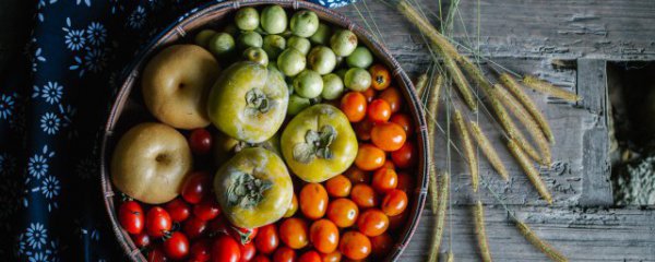 柿子能不能和鸡蛋一起吃