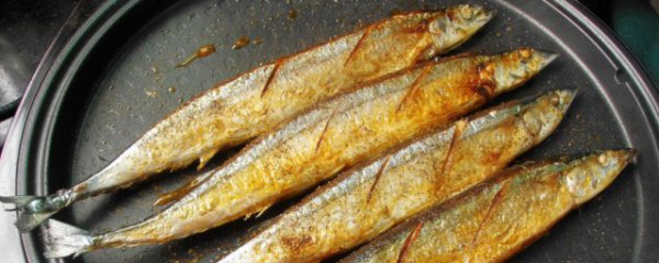 一天能吃多少条秋刀鱼