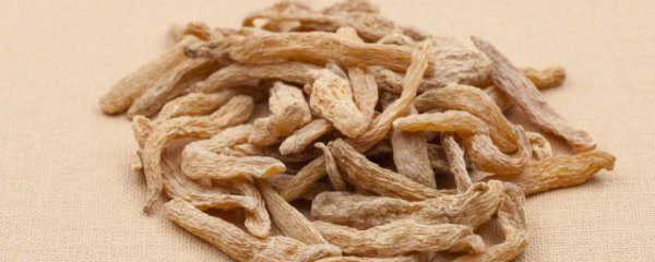 天麻配什么药材炖汤好