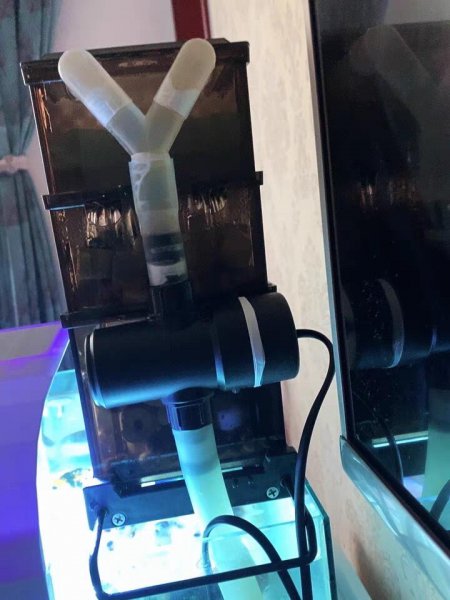 鱼缸杀菌灯正确使用方法