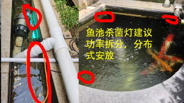 鱼缸杀菌灯正确使用方法