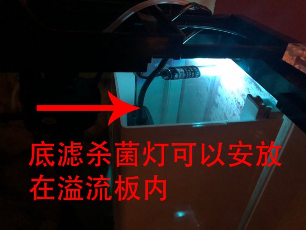 鱼缸杀菌灯正确使用方法