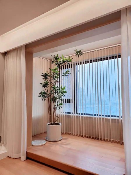 百合竹寓意与风水