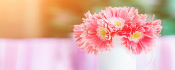 鲜花如何保存时间长