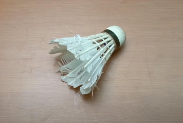 房间里有壁虎怎么办