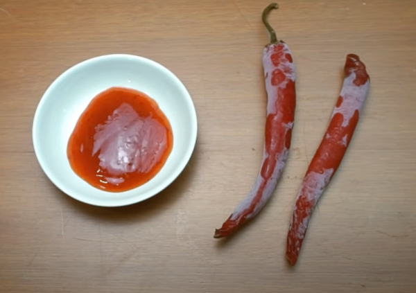 房间里有壁虎怎么办