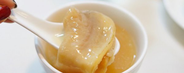 花胶配什么炖汤好