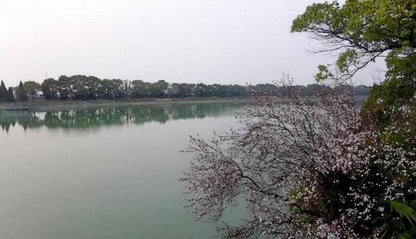 淀山湖在哪里属于哪个省