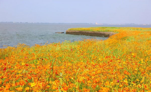 淀山湖在哪里属于哪个省