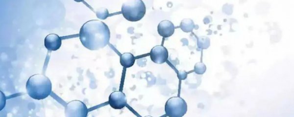 氨基酸有什么功效