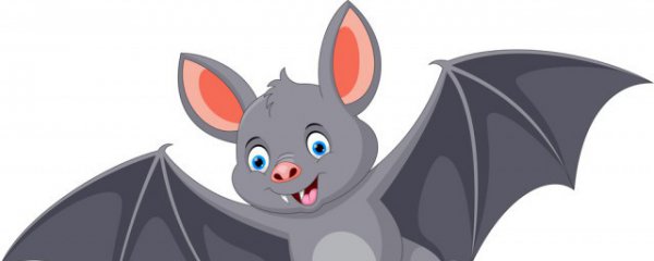 白天家里进蝙蝠什么预兆