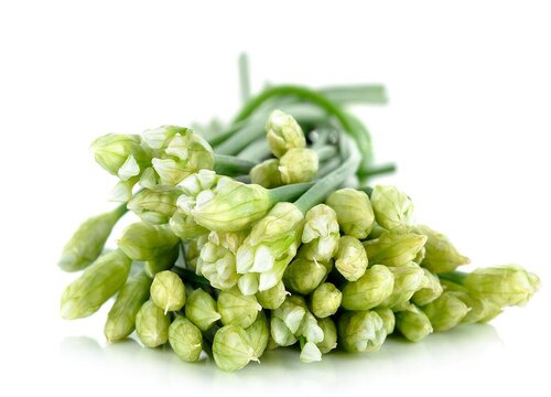 韭菜花的花能吃吗