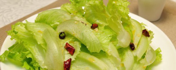 秋天阳台种什么菜