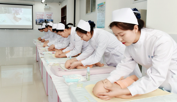 文科专科可以选哪些专业