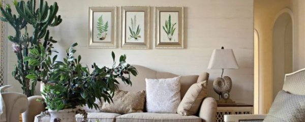 风水客厅花草摆放禁忌