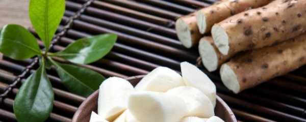 哪些食物对脾胃有好处