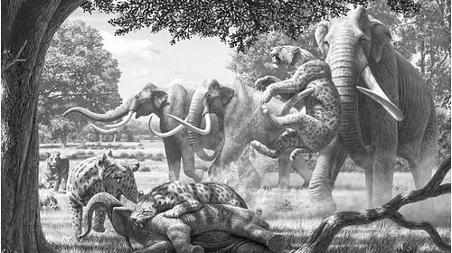 最后一只剑齿虎在哪里