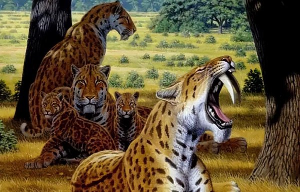 最后一只剑齿虎在哪里