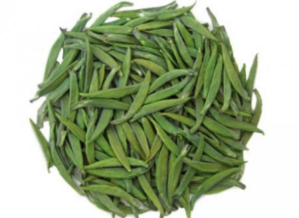 雀舌茶叶哪个产地最好