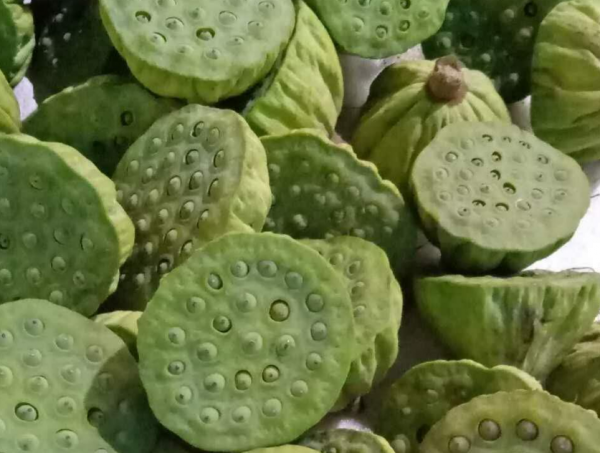 新鲜莲蓬的功效与作用及食用方法