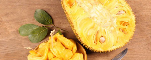 怎么挑新鲜菠萝蜜最好