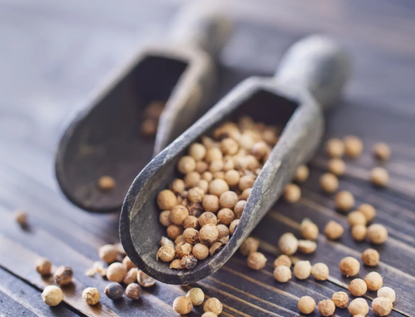 胡椒和花椒的区别在哪里