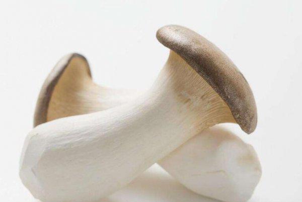 杏鲍菇要不要焯水