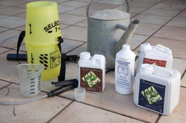 多肉叶片喷药弄脏了怎么清洗