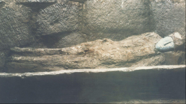 嘉庆皇帝是谁生的儿子