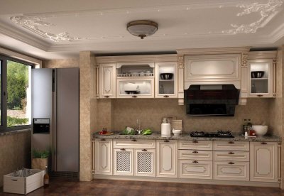 厨房常见虫子图片及处理办法 厨房的小虫子如何能除根