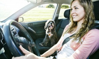 车里配什么小物件 车里配哪些小物件