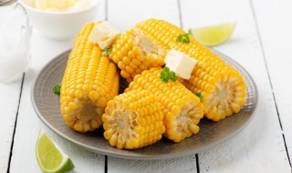 常见禾本科植物有哪些 常见禾本科植物介绍