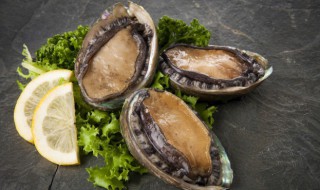 蚝油鲍鱼的做法 蚝油鲍鱼的家常制作方法介绍