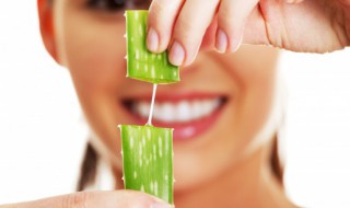 新鲜的芦荟叶怎么保存 新鲜的芦荟叶如何保存