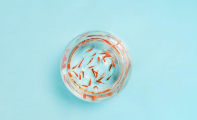 金鱼几天喂一次食最好 小金鱼吃什么东西怎么养殖