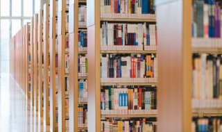 唐伯虎最有名的一句诗 唐伯虎最出名的诗句