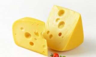 如何挑选好的奶酪 奶酪如何选购比较好