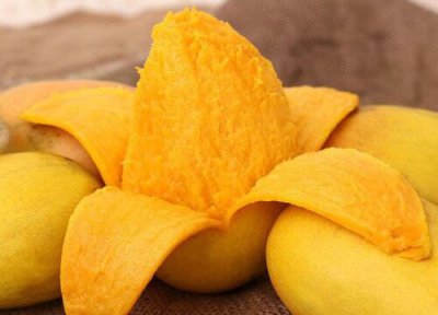 芒果皮做肥料 芒果皮可以做肥料吗